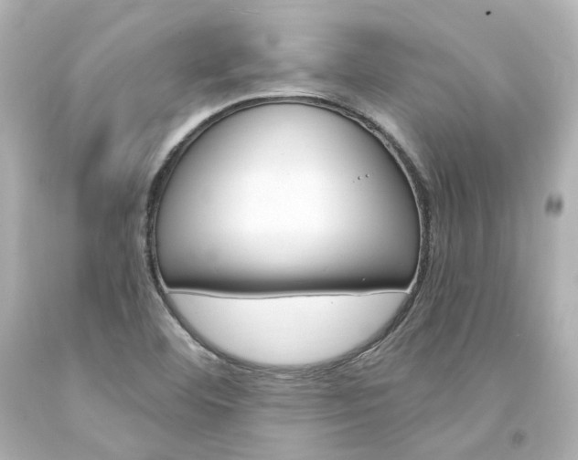 X0000094361460200711021325