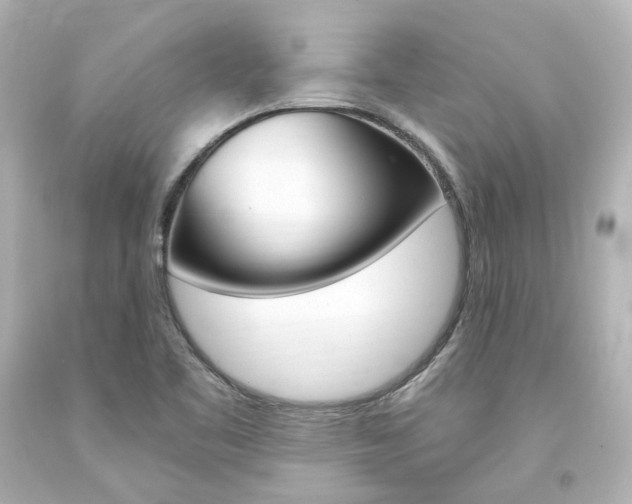 X0000094361461200711021325