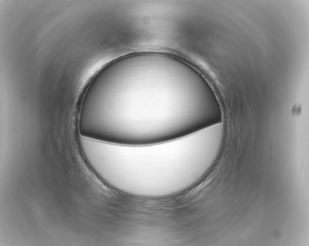 X0000094361463200711021325