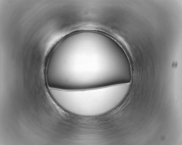 X0000094361464200711021325