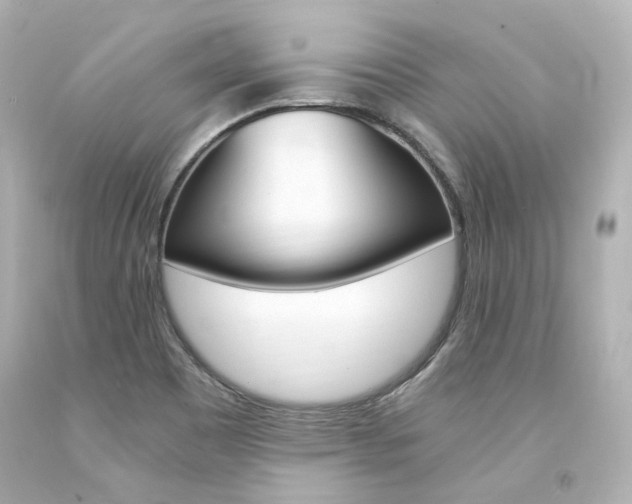 X0000094361465200711021325