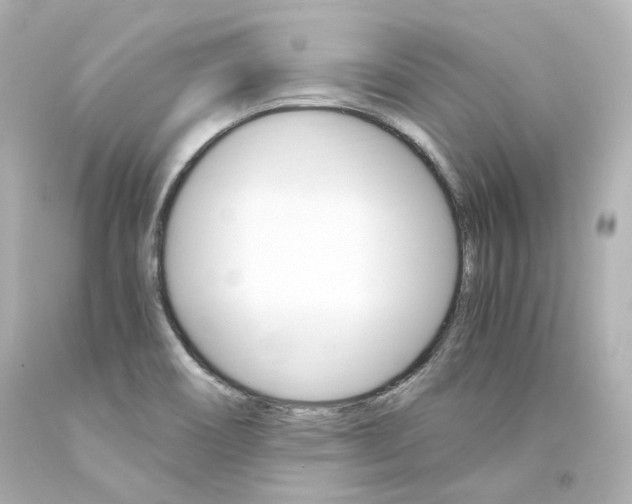 X0000094361466200711021325