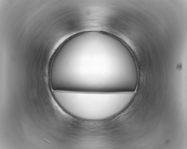 X0000094361468200711021325