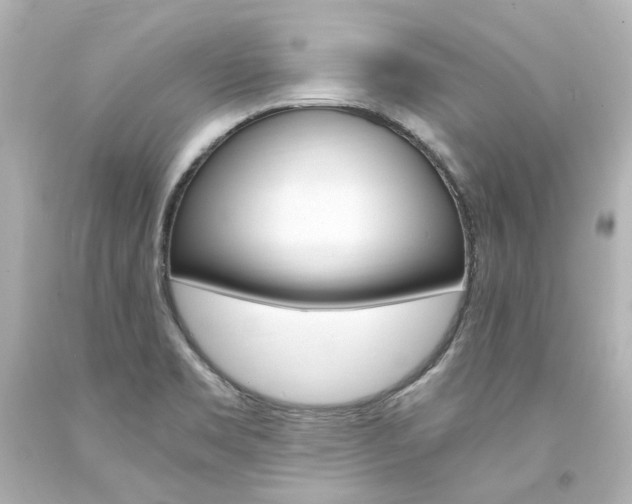 X0000094361469200711021325