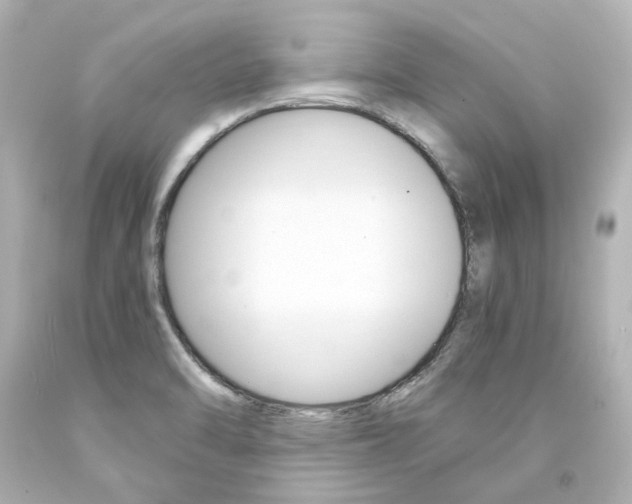 X0000094361470200711021325