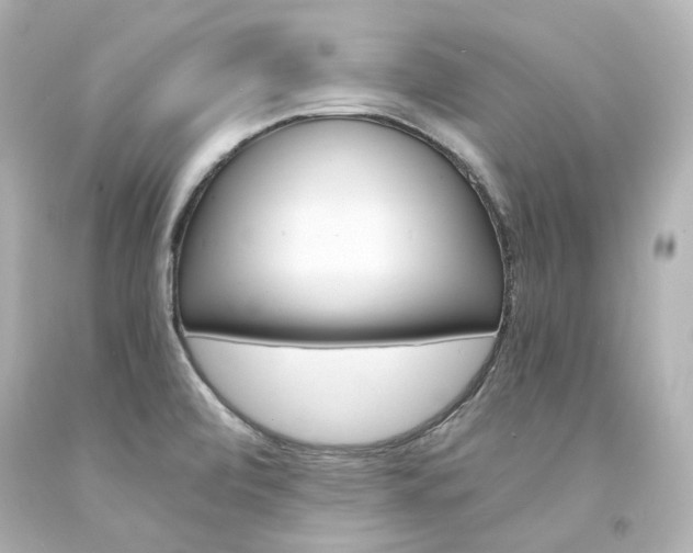 X0000094361472200711021325