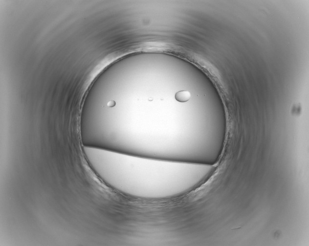 X0000094361473200711021325