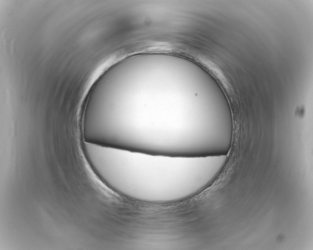 X0000094361475200711021325
