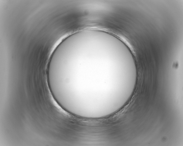X0000094361476200711021325
