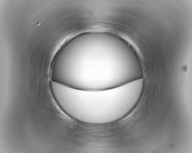 X0000094361477200711021325