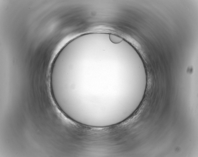 X0000094361478200711021325