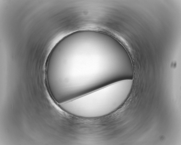X0000094361479200711021325