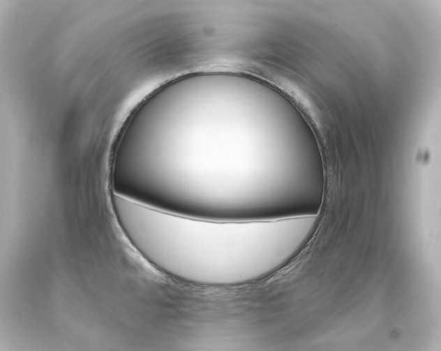 X0000094361480200711021324