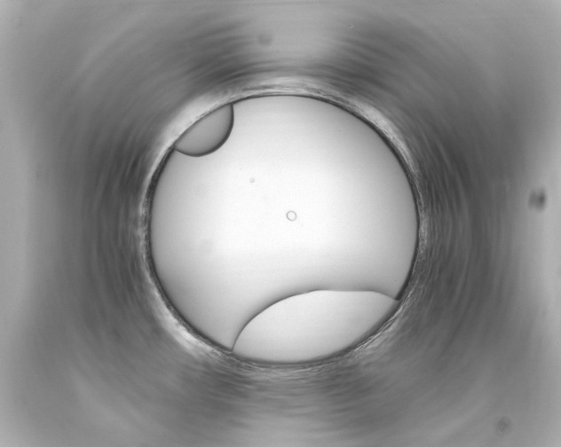 X0000094361482200711021324