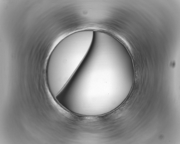 X0000094361483200711021324