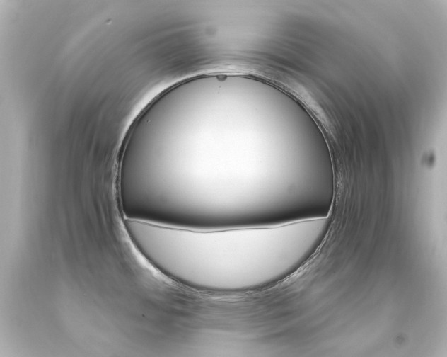 X0000094361484200711021324