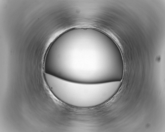 X0000094361485200711021324