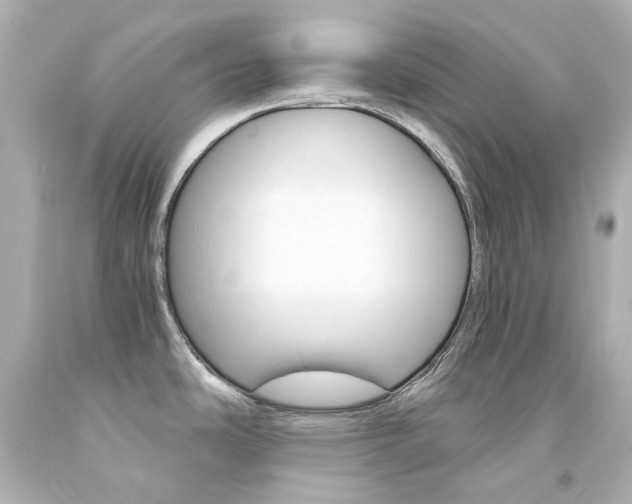 X0000094361486200711021324