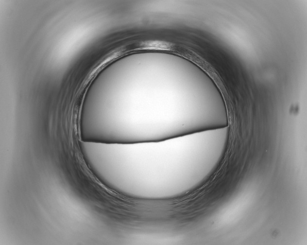 X0000094361487200711021324