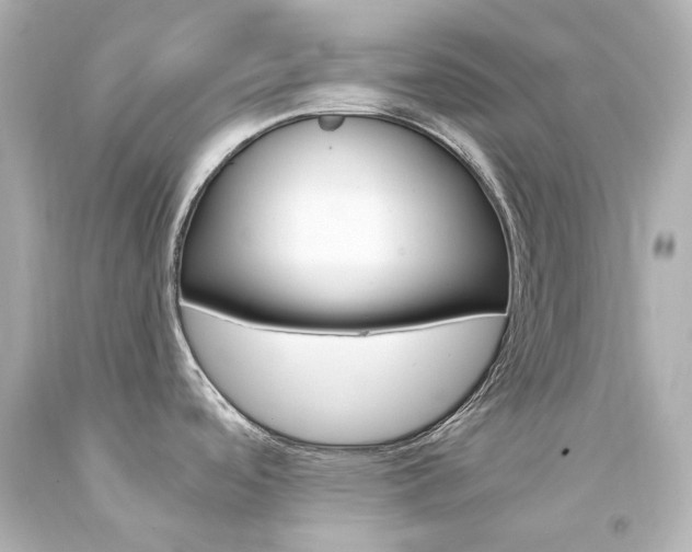 X0000094361488200711021324