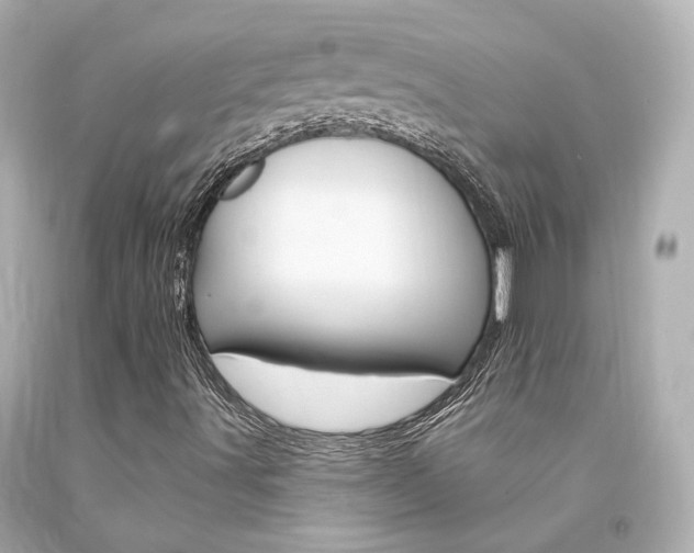 X0000094361491200711021324