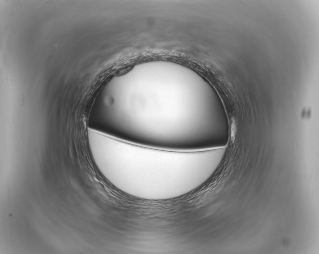 X0000094361492200711021324