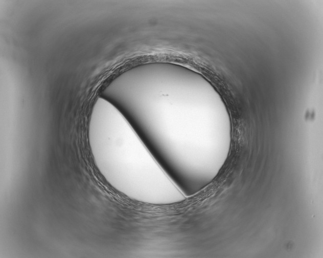 X0000094361493200711021324