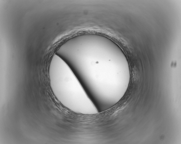 X0000094361494200711021324