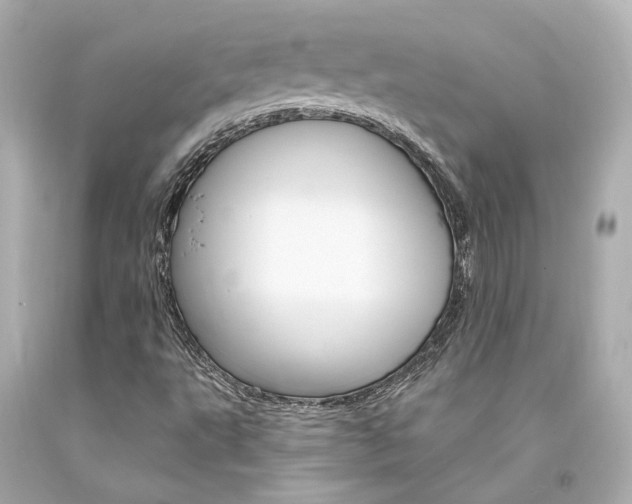 X0000094361495200711021324