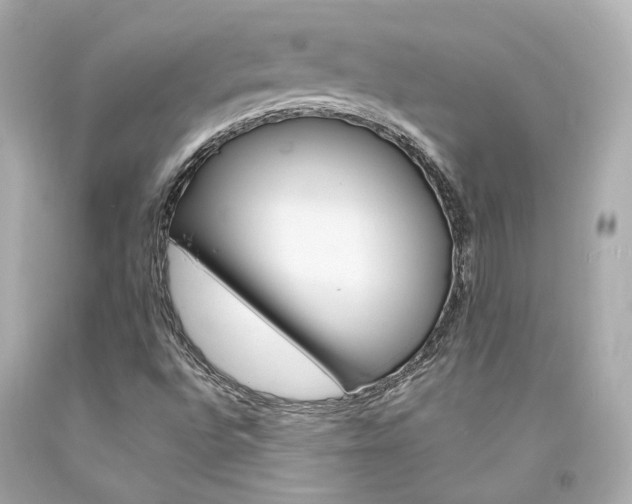X0000094361496200711021324