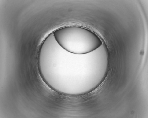 X0000094361500200711021324