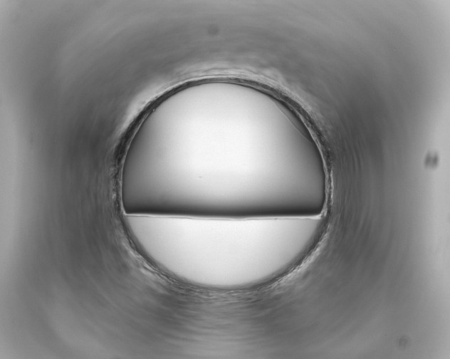 X0000094361501200711021324