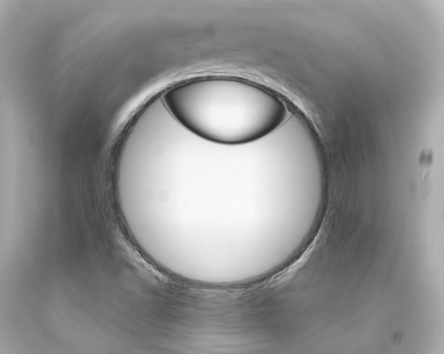 X0000094361502200711021324