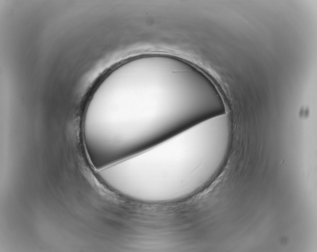 X0000094361503200711021324