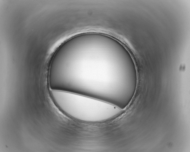 X0000094361504200711021324