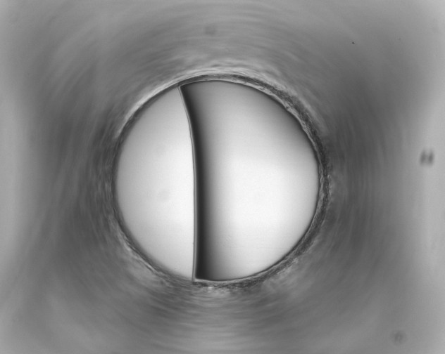 X0000094361505200711021324