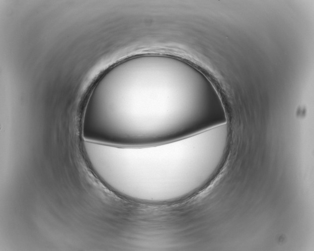 X0000094361506200711021324