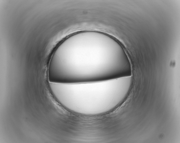 X0000094361507200711021324