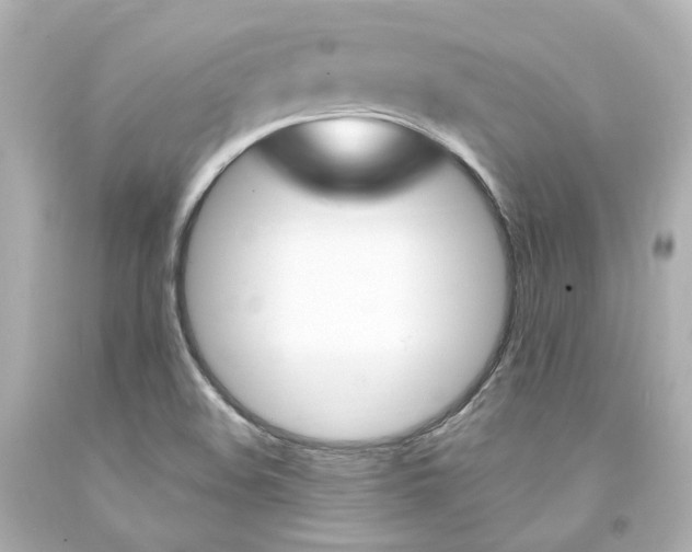 X0000094361508200711021324