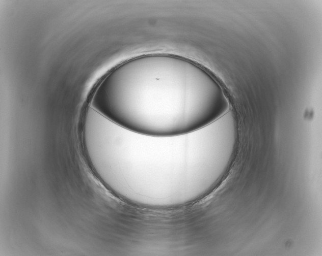 X0000094361510200711021324