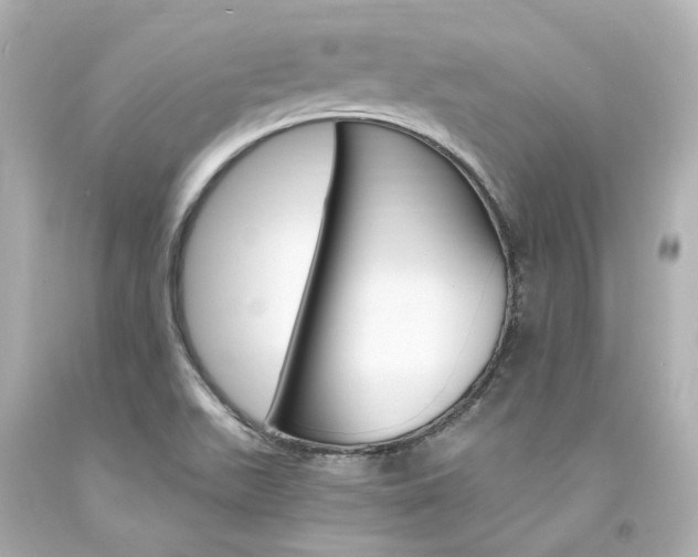 X0000094361511200711021324