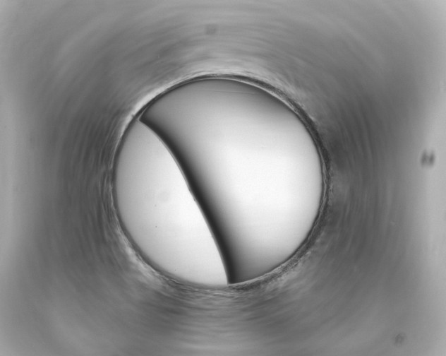 X0000094361513200711021324
