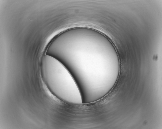 X0000094361515200711021324