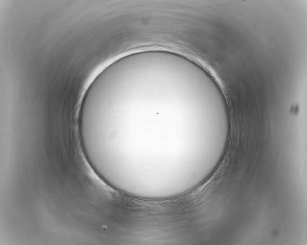 X0000094361516200711021324