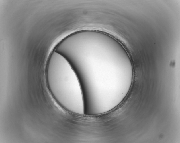 X0000094361517200711021324