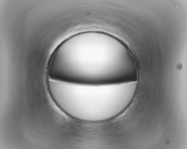 X0000094361518200711021324