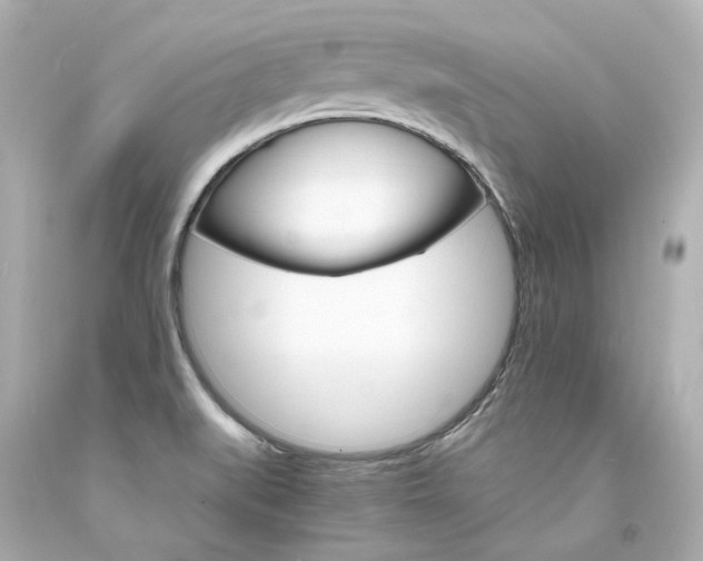 X0000094361519200711021324