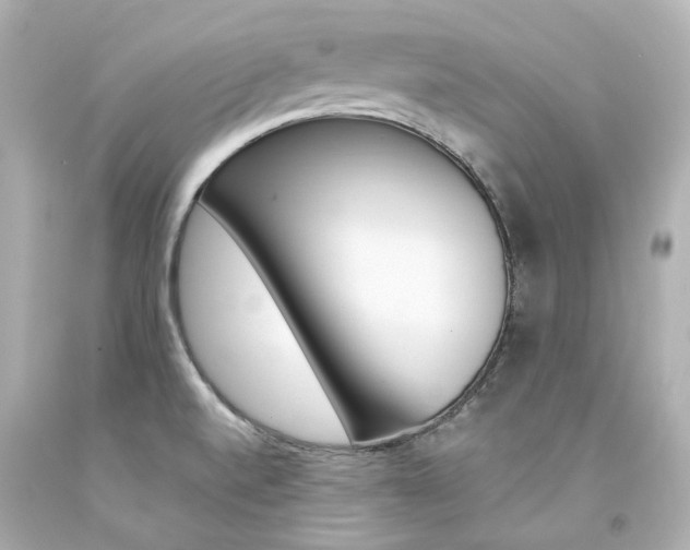 X0000094361520200711021324