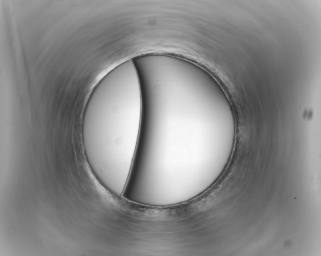X0000094361521200711021324