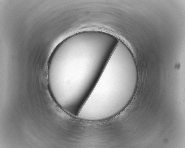 X0000094361522200711021324
